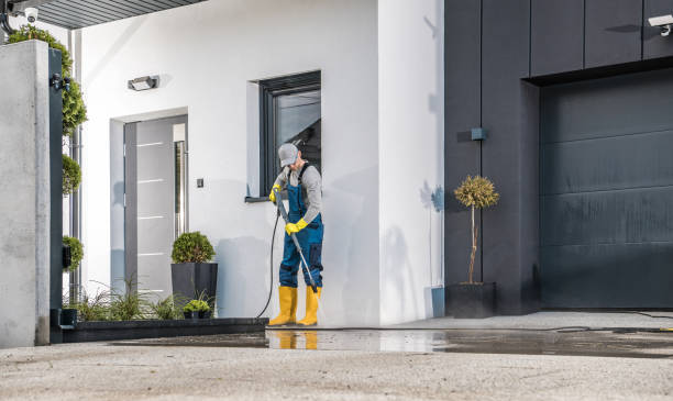 Best Roof Washing  in Winfield, MO